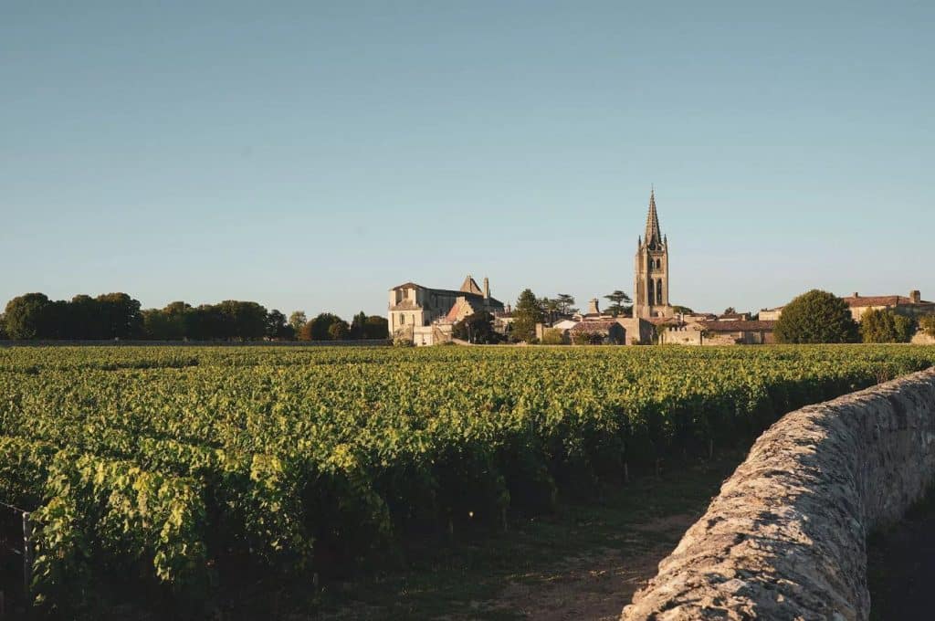 Vinhedos de Château Lafite Rothschild