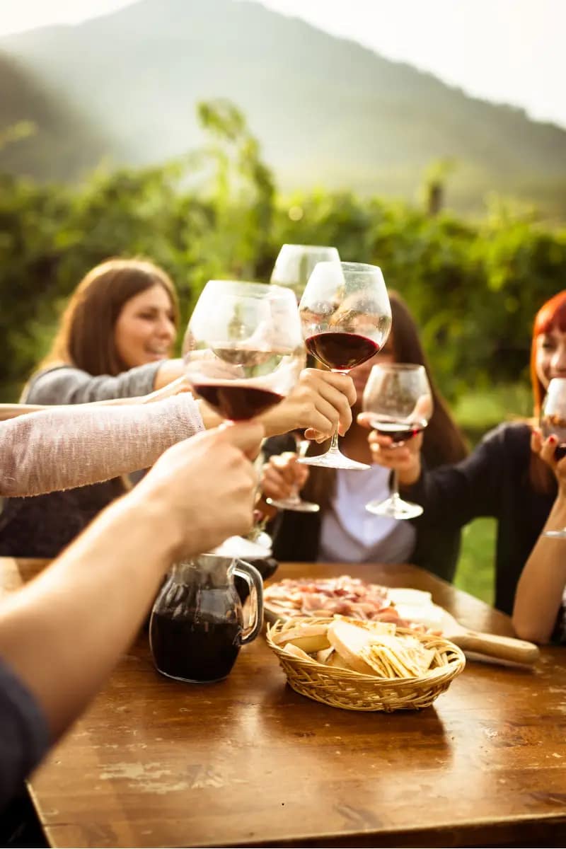 brinde no vinhedo Amigos brindando com taças de vinho em meio a um vinhedo